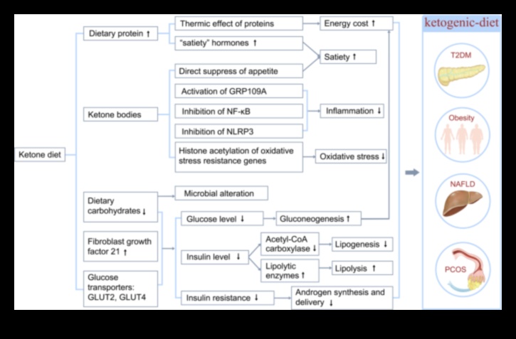 Genetiğin Keto Diyet Tepkileri Üzerindeki Etkisi